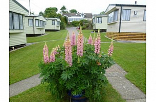 Static Caravan hire Wiseman's Bridge, Saundersfoot