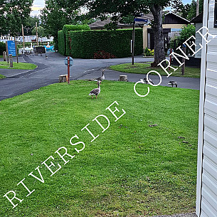 Static Caravan hire Beal