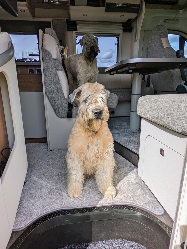 Motorhome hire Wem Dethleffs Trend T7057DBM