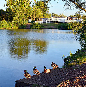 Lodge hire Burnham-on-Sea