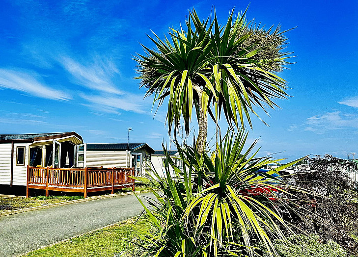 Caravan rental Rhyl - Willerby Aspen Scenic