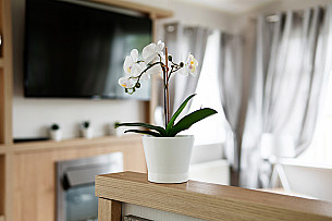 Static Caravan hire Burnham-on-Sea