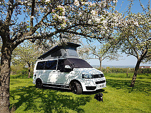 Volkswagen Campervan T5.1 Campervan  for hire in  Dormston