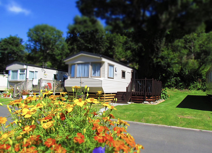 Caravan rental Ilfracombe - Wilerby Solara Gold